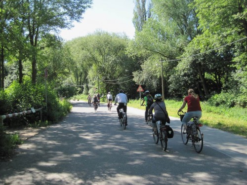 Wie schön, dass es in Hamburg noch Bäume gibt. Lichter Schatten erfreut Radler, Fußgänger, Tier- und Pflanzenwelt - und ist ein guter Beitrag zur Folgenminderung im Klimawandel.