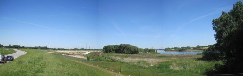 Auf 40 ha wird hier der Elbe wieder Raum gegeben inklusive Tidegeschehen. Ein Naturparadies darf sich wieder entwickeln.