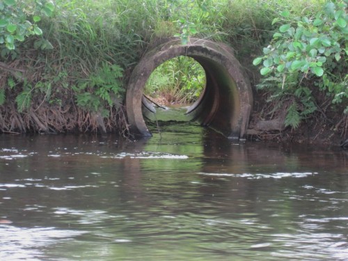 Verdammt wenig Wasser - der Blick in diese Nebenbachmündung zeigt: keine Durchgängikeit, ein Abriss, kein Sediment im Rohrverlauf.