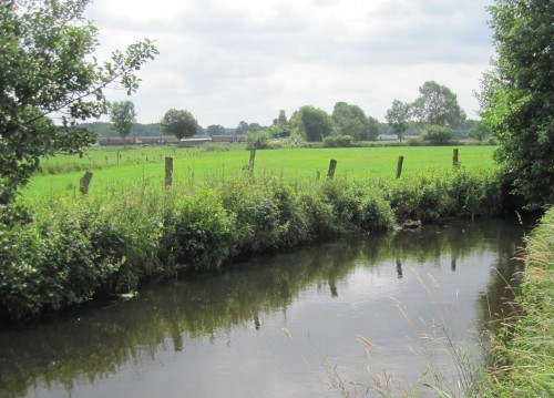Lange Strecken, wie hier entlang einer Weide, rufen noch nach Kies- und Geröllrestaurierungen an Ufer und Sohle.