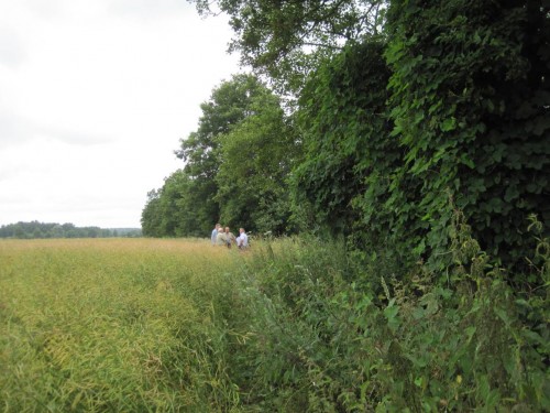 Vorbesprechen der Details, Mengen, Orte, Art der Einbringung - am Bendestorfer Wehr ging`s los.