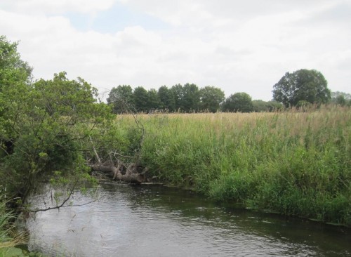 Auch wo eingebautes Totholz ins Fließprofil ragt, kommt schützend Kies davor.