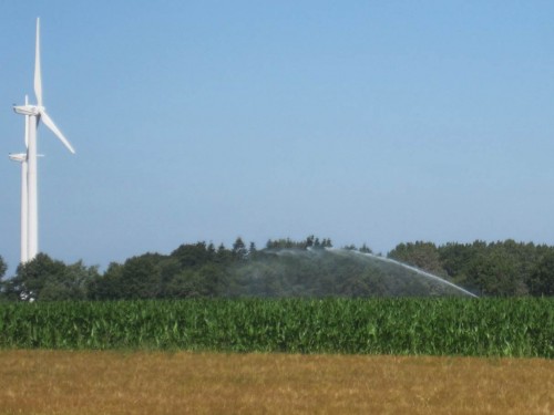 Auch ohne Agrarregenbogen - Grundwasser in praller Sonne über Mais verdunsten macht die Lage unserer Quellbäche nicht besser.