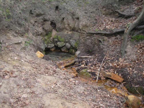 Da ist ja auch die Quelle - eine Topfquelle mit vielen kleinen turbulenten Austritten des Quellwassers in einem "Topf".