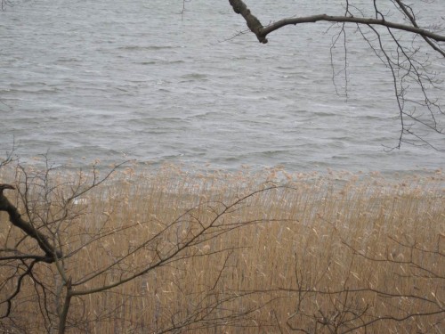 Blick von der Moränenkante auf den See - ein eiskalter Wind pfeift uns um die Ohren.