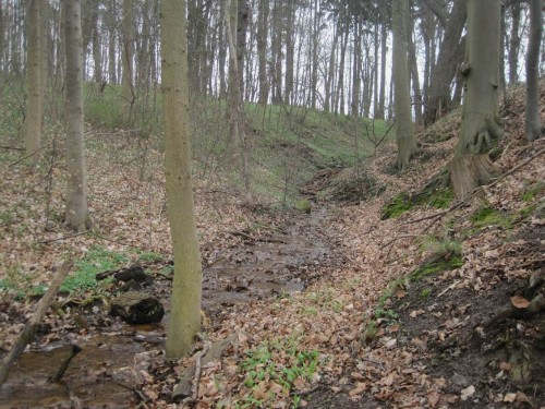 Da fließt schon der nächste Quellbach - im V-Tal durch die Moräne.