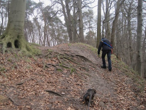 Oh, diese V-Täler!!! - Mensch und Hund kraxeln, überwinden Höhen und Tiefen.