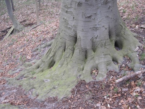 Wer hier dauerhaft anwesend sein will, entwickelt seine eigene Standfestigkeit.