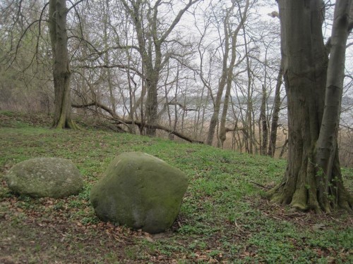 Auf dem Rückweg erinnern uns Findlinge daran, dass der Bach aus / auf Moräne natürlich ein Stein-/Kiesbach ist. - Achten Sie mal auf Orts- und Gewässerbezeichnungen. Die Altvorderen haben oft von solchen Begriffen Gebrauch gemacht - hatten wohl (Beobachtungsgabe und) Grund dazu.