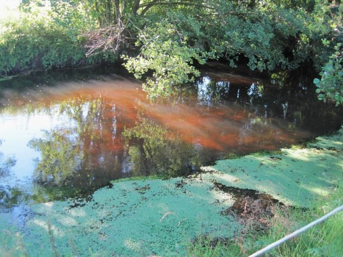 An der Seeve angekommen - extremes Niedrigwasser verdeutlicht die steilen Böschungen, den lebensfeindlichen Sandgrund dieses ausgebauten, früheren Kiesbachs.