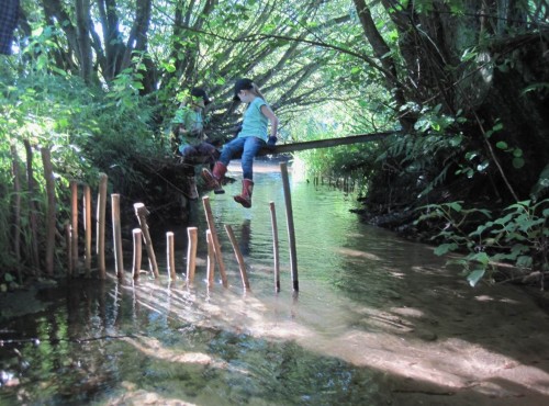 Der zweite Treibselsammler ist in Vorbereitung, die Hölzchen sind vorgesteckt.