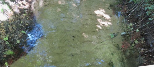 Standort Nr. 3: vom hier rechts gesehenen, mit Wurzeln ungeschützten Ufer soll die Strömung Richtung Erlenwurzel gelenkt werden.