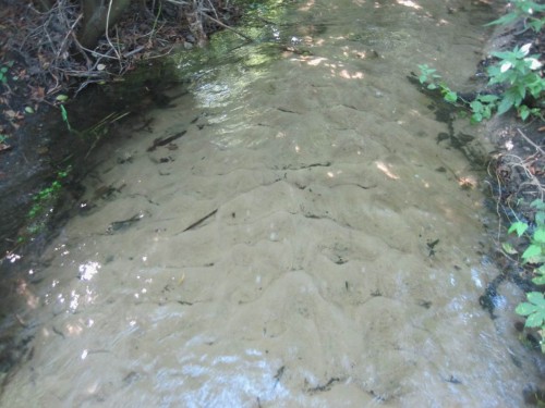 Bewegter Sand - in dieser Wüstenei kann sich kein Leben entfalten.