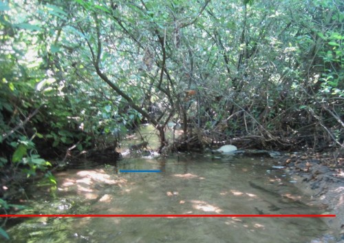 Nahebei zeigt die aktuelle Situation durch einen Sturzbaum, wie gering die dynamische Niedrigwassersituation aussehen kann (blau) - rot: die Sandwüste.
