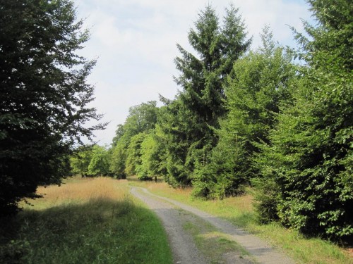 Am oberen Ende des Rundwanderweges angekommen - die Sonne scheint.