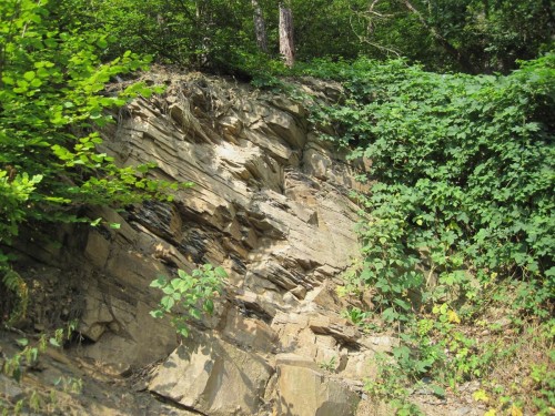 Grauwacke - eins der häufigeren Gesteine hier. Das Erläuterungsschild erzählt von uralten Meeren, deren Sedimente sich schichtweise ablagerten und später schräg gestellt wurden. Der Berg ist also Meeresgrund.
