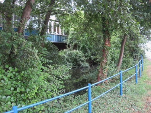 Standorttypischer Baumsaum - wer seine Augen schult, erkennt das große Potential des Seevekanals. Erlen, Eschen und Weiden bilden das Grundgerüst.