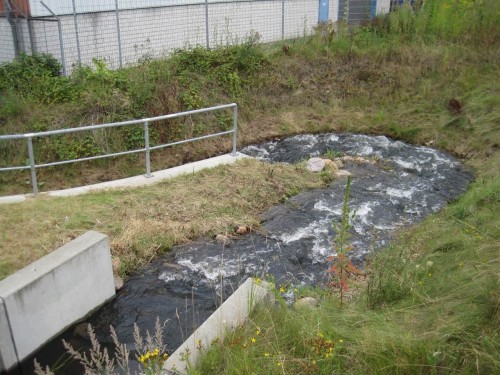 So voll muss der Karnappwehr-Fischpass mindestens sein, wenn er - bei seiner begrenzten Leistung - überhaupt funktionieren soll.