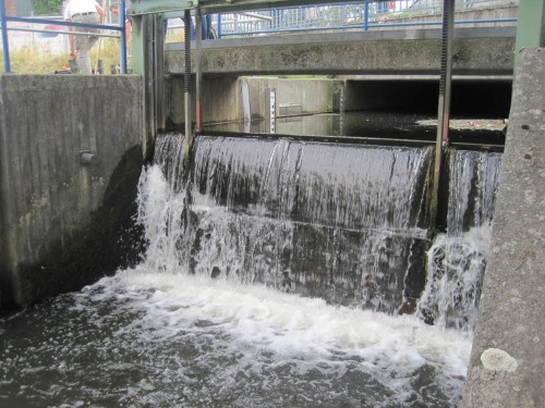 Über das Karnappwehr fliesst eine Menge Wasser - die könnte statt dessen den Fischpass verbessern.