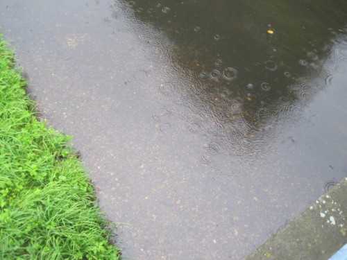 Auch Kies und Steine wurden jüngst eingebracht - leider mit dem städtischen Phänomen, dass Großsteine keine lange Verweilzeit im Gewässer kennen ... - Der Kies als Lebens- und Laichraum wirkt allerdings prima.