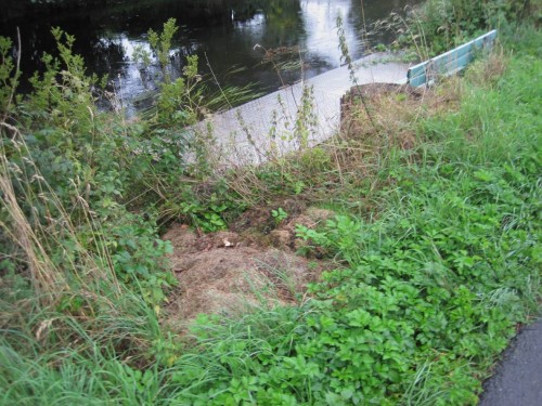 Rasenschnitt hat am Gewässerufer nun gar nichts verloren.