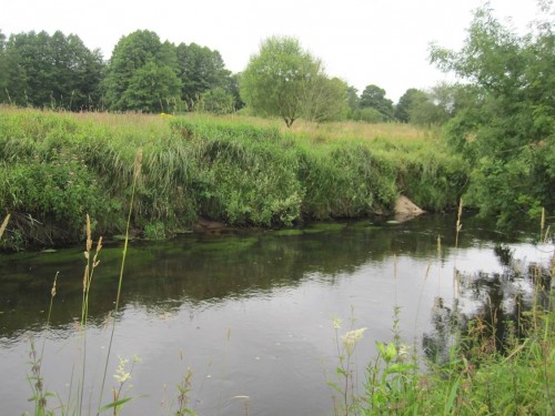 Wie viele bis heute nicht naturnah entwickelten Fließgewässer ist die Seeve durch verkürzenden Ausbau heutzutage durch steile Böschungen, tief liegenden Wasserspiegel und öde Flusssohle sowie nicht ausreichenden Baumbestand gekennzeichnet. - Das gilt es zu ändern.