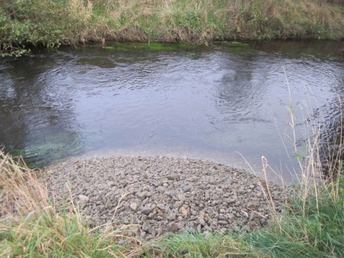 Das andere Ufer wird natürlich auch mit "Spielmaterial für den Fluss" versehen.