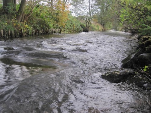 Stehende Wellen am vor längerer Zeit umgebauten Bendestorfer Wehr - um diese Höhenunterschiede anzugleichen, bräuchte es erhebliche Kies-Geröllmengen. Wir haben ein wenig unterstützt.