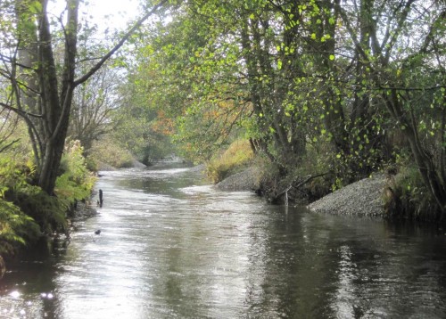 Kleiner Ausschnitt des Gesamteindrucks - gut ist das geworden.