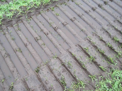 Die Fahrspuren der Vortage voll Wasser - jetzt ist Baustopp, schon aus Gründen des Bodenschutzes.