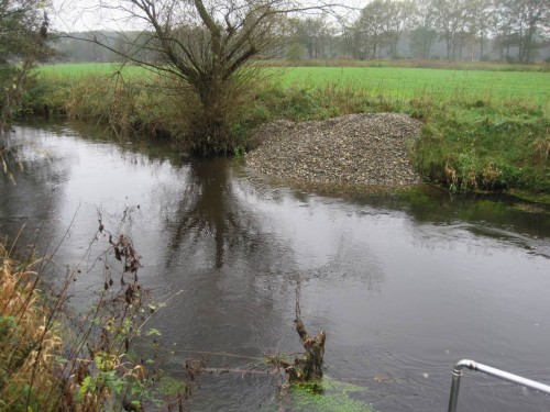 Kies-Geröll-"Knubbel", nun auch am Westufer. Die Position wurde zwischen allen zu Beteiligenden so abgestimmt, dass vorhandene Strukturen geschützt und unterstützt werden. An völlig freien Strecken bieten die neuen Strukturen Ansatzmöglichkeiten für Wasser- und Uferpflanzen inkl. standorttypischer Bäume.