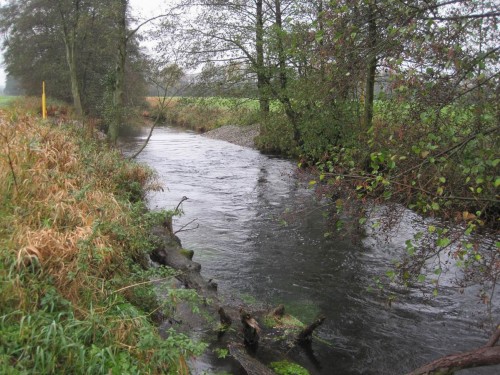 Die Rausche für Kieslaicher ist eingebaut.