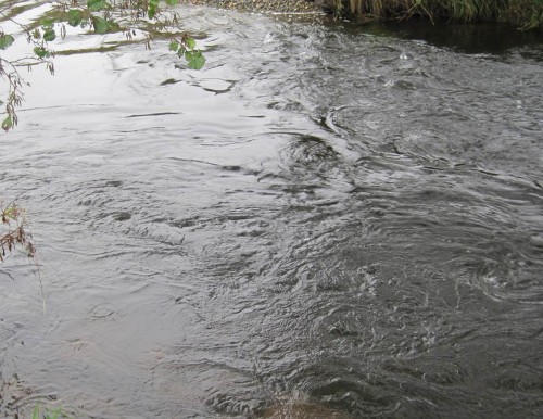 Wellen und Vortices (hat da jemand einen Stöppsel gezogen?) im Bereich der Rausche.