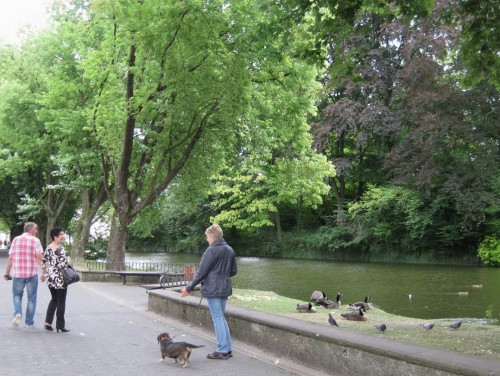 Auch hier, am Detmolder Schloßgraben mit seinem - zu - zahlreichen Wassergeflügel wird Socke, der blinde Kampfdackel, vom Publikum bestaunt.