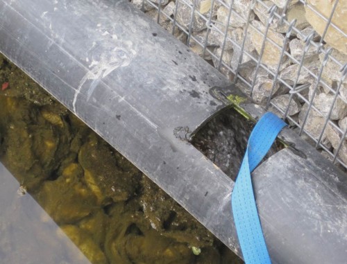 Im Rohr sichtbar: das Ganze wird bach-gespeist. Spätestens hier verliert also seine Charakteristik - vielleicht gibt es ja eine Alternative wie es anderswo üblich ist: Speisen der Stillgewässer nur bei Hochwasser, Umlauf des Bachs als Bach.