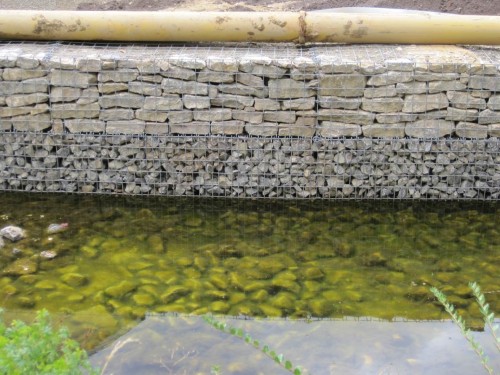 Schon sichtbar: Licht im Überschuss produziert Algen im Überfluss. - Die Gabionenbauweise immerhin statt vermörtelter Mauern oder gar Beton bietet eine Menge Kleinlebensräume für Tier- und Pflanzenwelt.