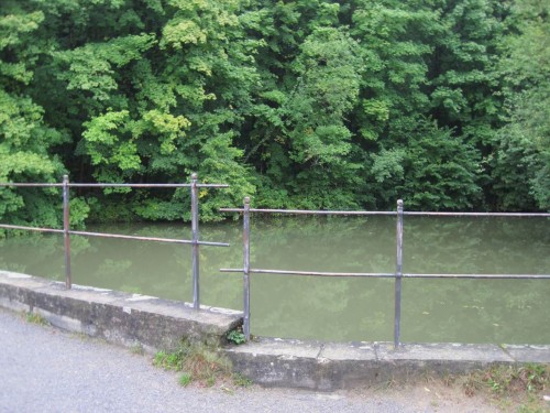 Der Blick in den Mühlenteich zeigt das Dilemma des aufgestauten Bachs - Alterung des stehenden Gewässers bringt Verschlechterung der Wasserqualität mit sich. Auf Überhitzung im Sommer, Unterkühlung im Winter und Durchgängigkeitsproblem soll hier nicht eingegangen werden.