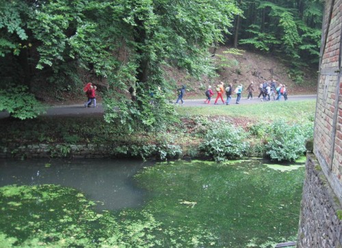 Das ist natürlich alles sehr informativ und daher gut besucht - Schulklasse hinter hochnährstoffreichem Teich, voll mit fädigen Grünalgen.