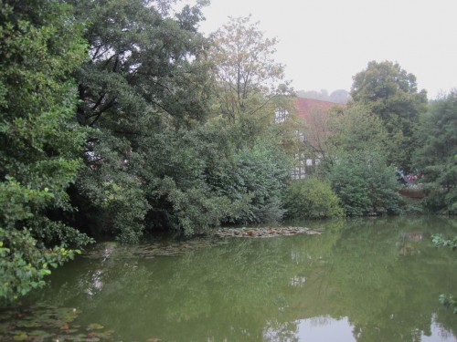 Nicht zuletzt als Feuerlöschteich hatten Stillgewässer im dörflichen Umfeld eine große Bedeutung. So nebenbei kann dann auch der eine oder andere Fisch für den Mittagstisch hier heranwachsen.