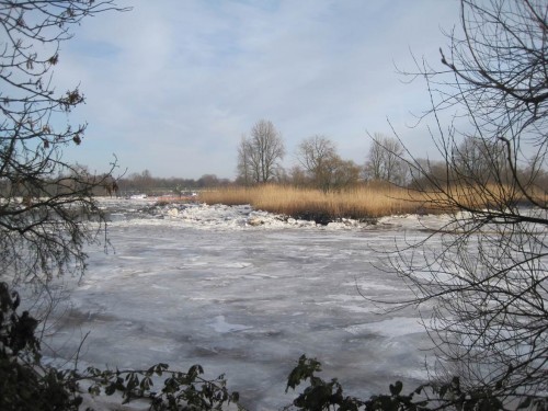 Naturschutzgebiet Schweenssand, Blick von Pionierinsel nach Osten.