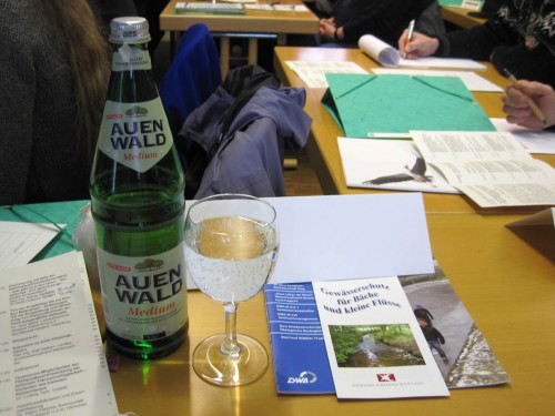 Auenwald - der Name des Tagesgetränks im Seminar repräsentierte geradezu das wesentliche Rückgrat eines gesunden Fließgewässers.