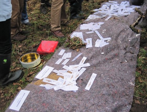 Siehe da, das Bild bestätigt sich - auch die Wirbellosen fordern den Kiesbach, noch etwas stärker als die Fische bei "Holz" präsent.