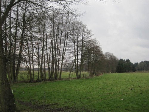 Erlengesäumte Fintau, von aussen naturnah wirkender Nebenfluss der Wümme.