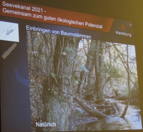 Naturnähe ist das Ziel heutiger Gewässerverbesserungen.