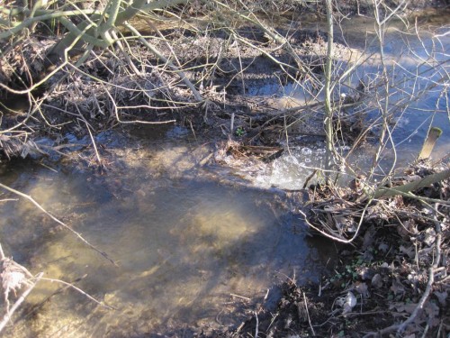 Ich gehe die Strecke noch einmal ab. An zwei Stellen tolerieren die Grundeigentümer in den Bach gefallene Grauweiden. Mal sehen, wie lange das gut geht. Tiefen- und Strömungsvielfalt jedenfalls ist hier vorhanden - aber auch heftiger Einstau bei Hochwasser.