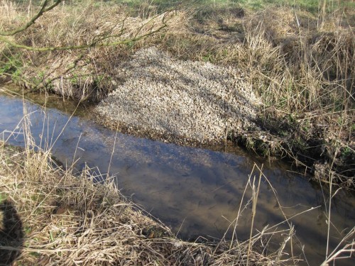Einige Kiesschüttungen haben wir als Depot in der Böschung liegen lassen.
