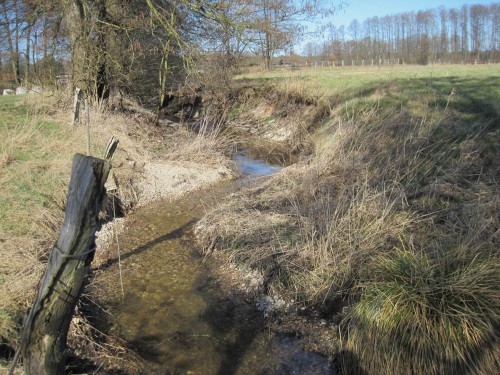 Die Kiesarbeit hat die Entwicklung des Bachs zu mehr Abwechslung aufgenommen und unterstützt sie.