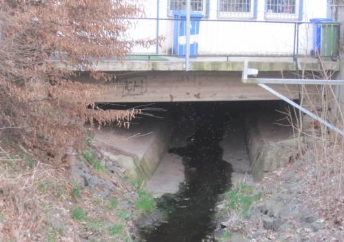Ein Stück weiter: Handlungsbedarf. Noch fliesst der Bach wie im Hinterhof. - Was ich erst auf dem Foto sehe: im Schatten schwärmten offenbar massenhaft Gewässerinsekten.