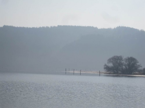Am anderen Ufer liegen die breiten, flach überschwemmten Ländereien - hoffentlich hält der Wasserstand, dass die Laichwiesen auch 2014 millionenfach Jungfisch produzieren.