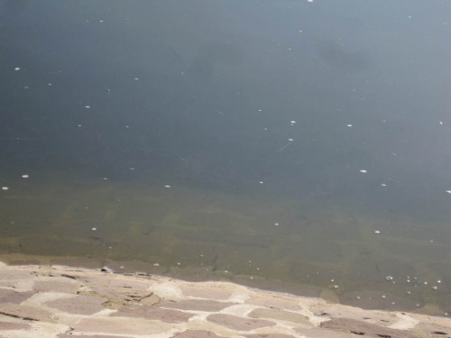 Der Blick vor dieses Steinufer zeigt ein anders Bild als bisher. - Was ist da im Dunkeln? - Was ist das Dunkel?!